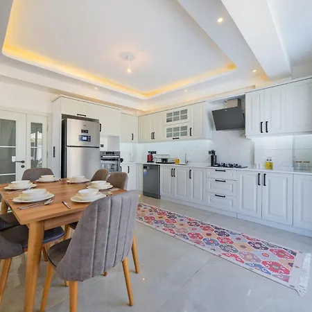 Merkez Villa-2 *